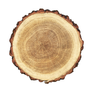 https://e-firany.com/wp-content/uploads/2017/05/product_03-300x300.png